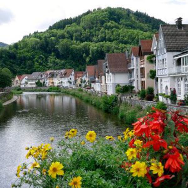 Wolfach, Schwarzwald, Fluss, Fachwerk, Altstadt, Blumen, Idylle, Kleinstadt, Natur, Urlaubsort.