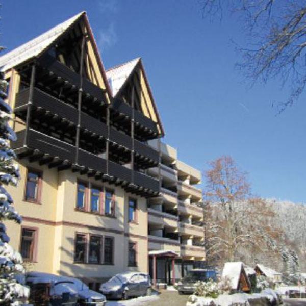 hotel, bergfrieden, schwarzwald, winter, schnee, fassade, ferien, urlaub, tannen, berge, erholung
