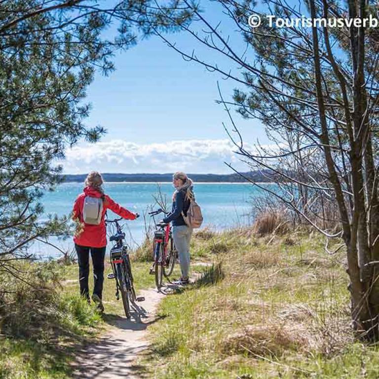 rügen, ebike, fahrrad, ausflug, meerblick, waldweg, natur, urlaub, tour, ostsee