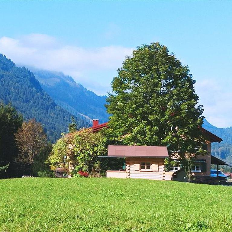 fischen im allgäu, berghütte, wiese, baum, alpen, berge, natur, holzhaus, ferienhaus,