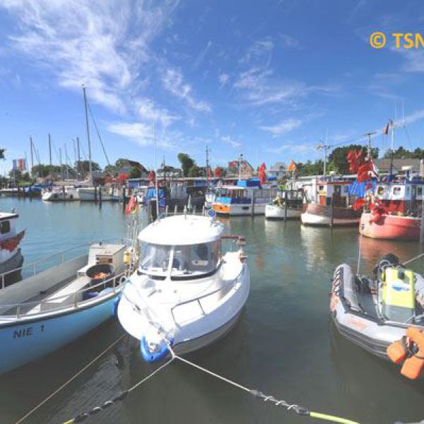 hafen, niendorf, boote, fischerboote, meer, urlaub, ostsee, sommer