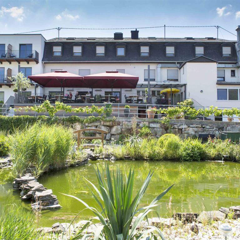 hotel, terrasse, garten, teich, sonnenschirme, natur