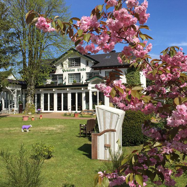 hotel, pension, garten, blühender kirschbaum, strandkorb, außenansicht
