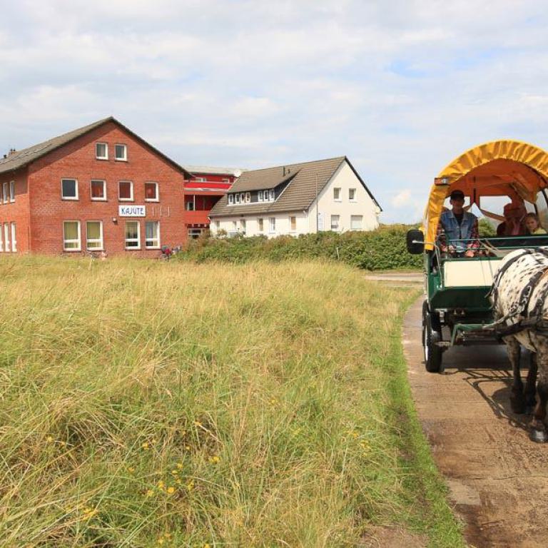 langeoog, ostfriesische insel, fuhrwerk, kutsche, strand, awo, seniorenreisen, küste, autofrei