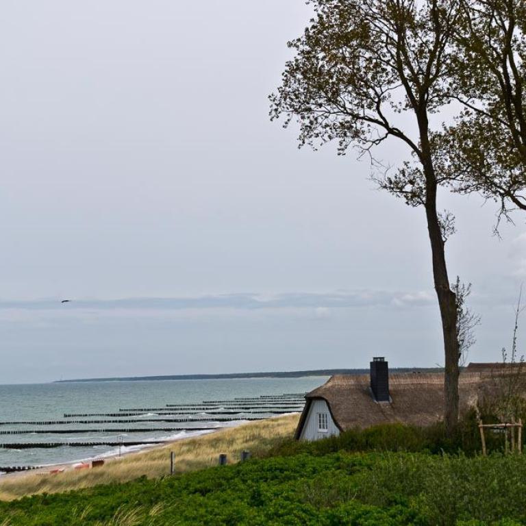 prerow, küste, ahrenshoop, darß, ostsee, awo, seniorenreisen, steilküste, meer, natur, urlaub,