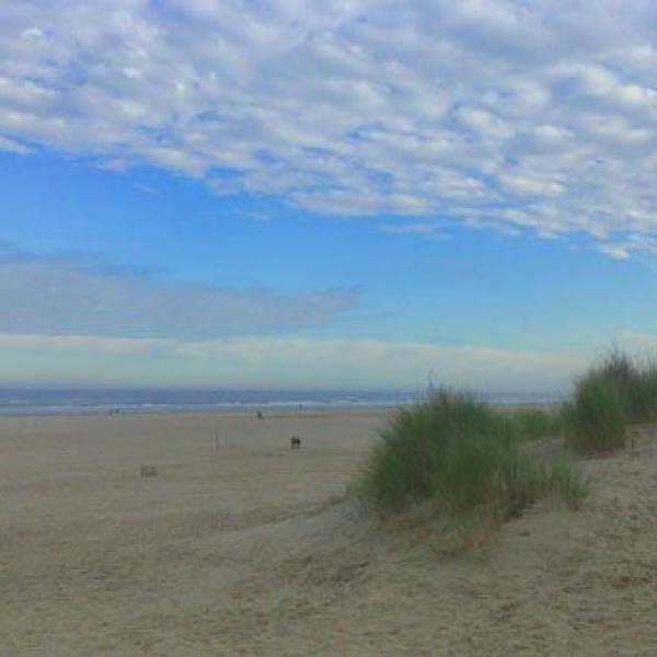 juist, strand, nordsee, awo, seniorenreisen, insel, meer, urlaub, erholung, ostfriesische insel, ferien