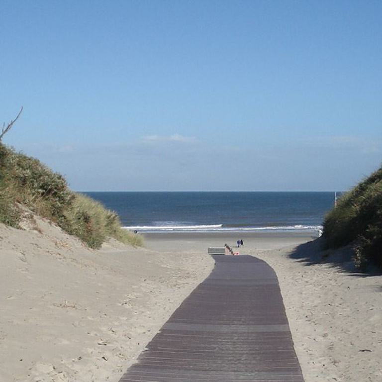 weg zum strand, sandweg, dünenweg, meerblick, ostsee, nordsee, natur